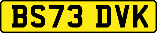 BS73DVK