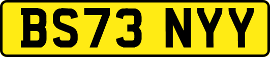 BS73NYY