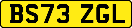 BS73ZGL