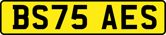 BS75AES