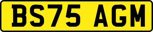 BS75AGM