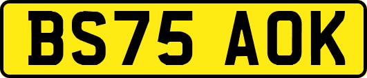 BS75AOK