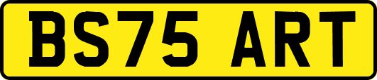 BS75ART