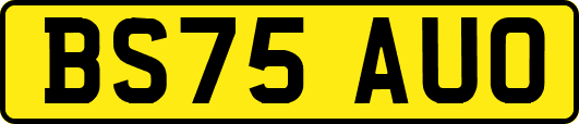 BS75AUO
