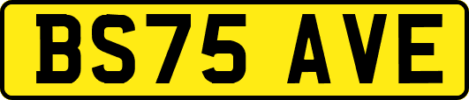 BS75AVE