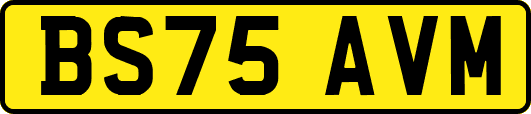 BS75AVM