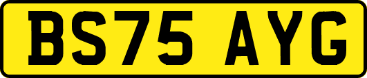 BS75AYG