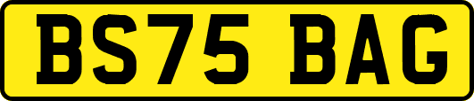 BS75BAG