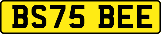BS75BEE