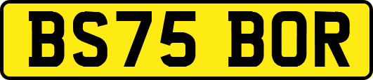 BS75BOR