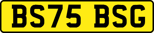 BS75BSG