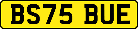 BS75BUE