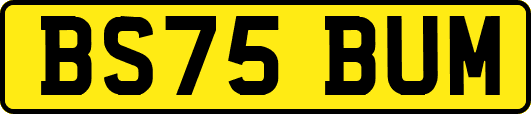 BS75BUM