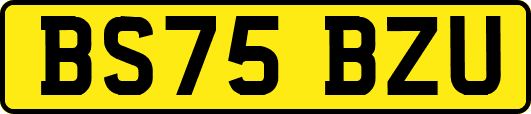 BS75BZU