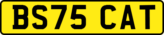 BS75CAT