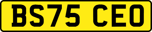BS75CEO