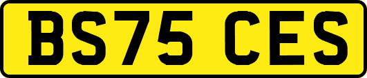 BS75CES