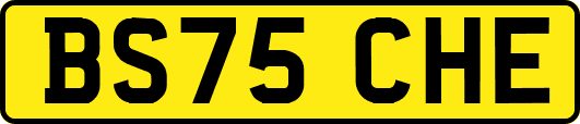 BS75CHE