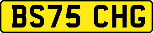 BS75CHG