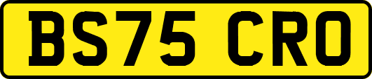 BS75CRO