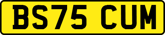 BS75CUM