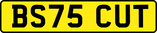 BS75CUT