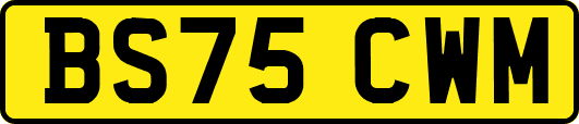 BS75CWM