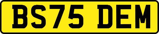 BS75DEM