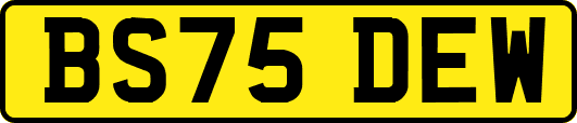 BS75DEW