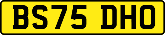 BS75DHO