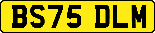 BS75DLM