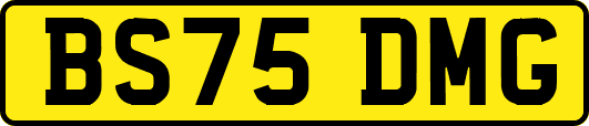 BS75DMG