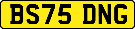 BS75DNG