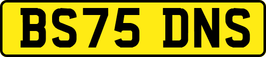 BS75DNS