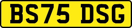 BS75DSG