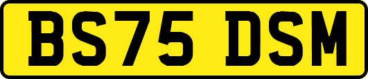 BS75DSM