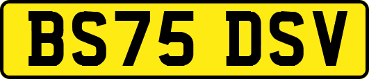 BS75DSV