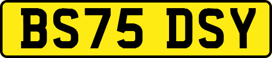BS75DSY
