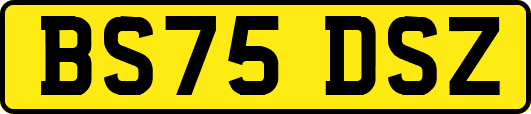 BS75DSZ