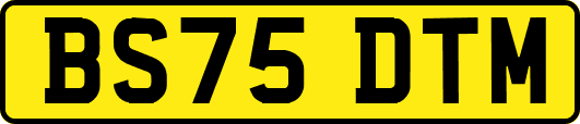 BS75DTM