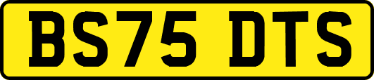 BS75DTS