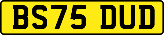 BS75DUD