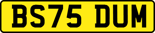 BS75DUM
