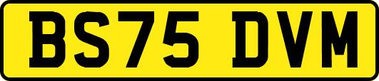 BS75DVM