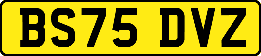 BS75DVZ