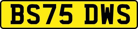 BS75DWS