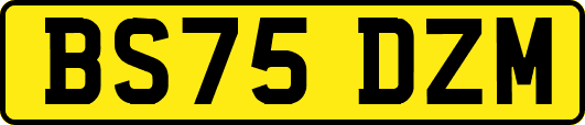BS75DZM