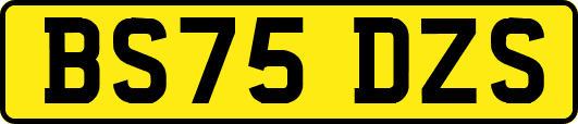 BS75DZS