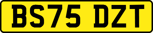 BS75DZT