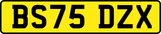 BS75DZX